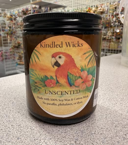Parrot safe Candle